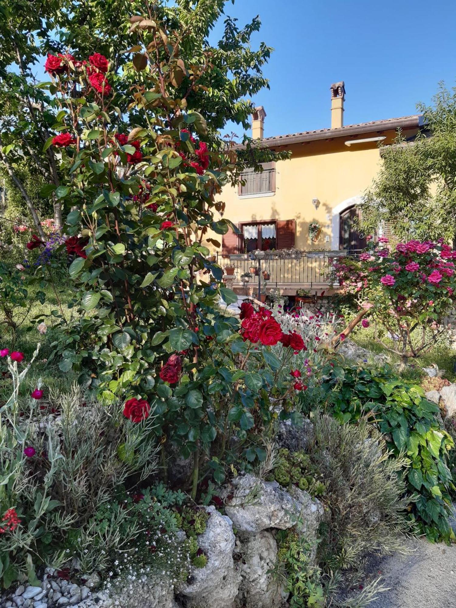 Castelvecchio CalvisioIl Girasole住宿加早餐旅馆 外观 照片