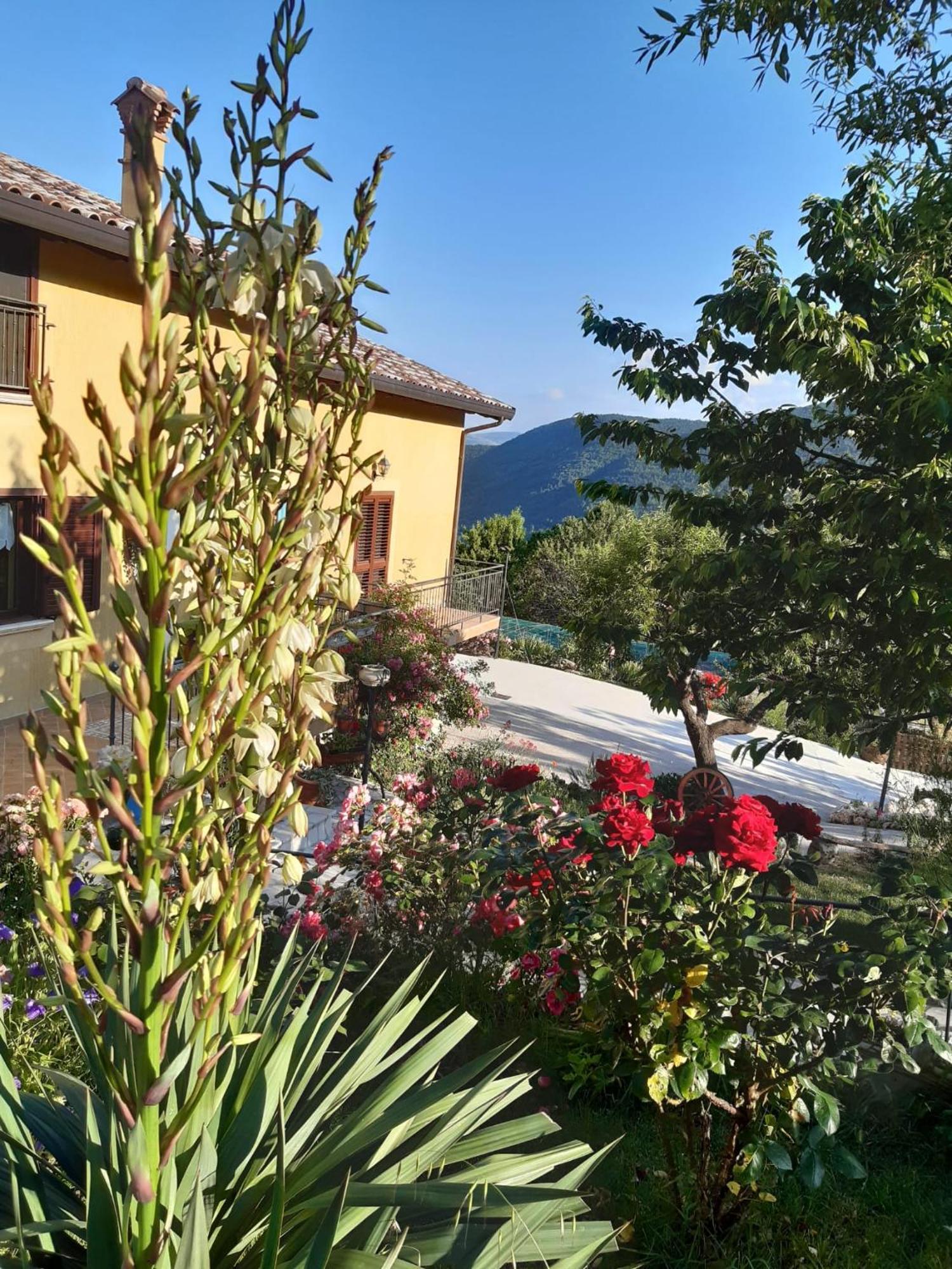 Castelvecchio CalvisioIl Girasole住宿加早餐旅馆 外观 照片